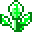 Sage