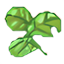 Environment